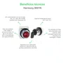 Botão luminoso Ø30mm metálico guarda alta, retorno por mola, LED, verde, NA+NF, 24VCA/CC, 9001K3L35LGGH13
